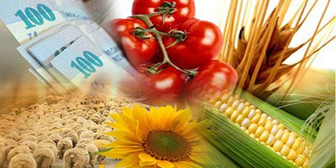 ÇİFTÇİ DESTEKLEMELERİ NE KADAR