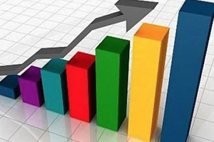 Sadeleşme ve Enflasyon