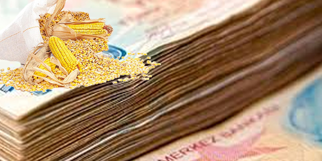 BAKAN ÇELİK TABAN FİYATINI AÇIKLADI