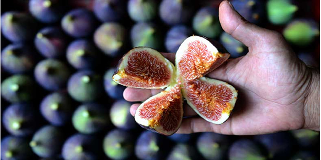 UZAKDOĞU PAZARI FİYATLARA OLUMLU YANSIYACAK