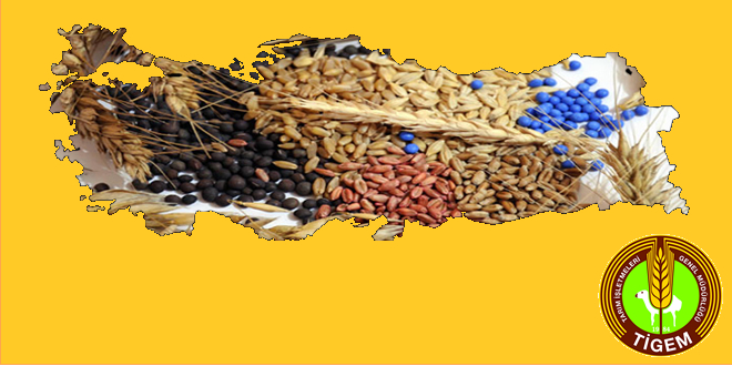 TİGEM 2016 YILI TOHUMLUK FİYATLARINI AÇIKLADI