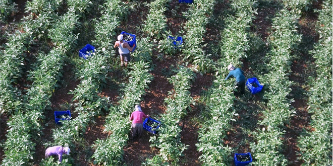 ENGELLER KALKIYOR İHRACAT HIZLA ARTACAK