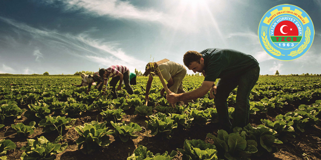BAYRAKTAR ÜRETİM ARTIŞI İÇİN VERİM ARTIŞI ŞART