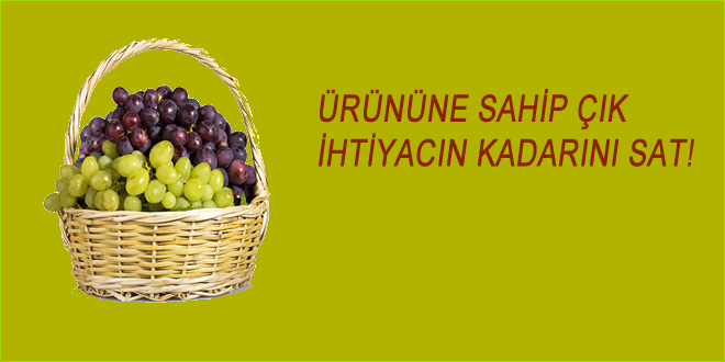 ÜZÜM ÜRETİCİLERİ DEVLET MÜDAHALESİ BEKLİYOR