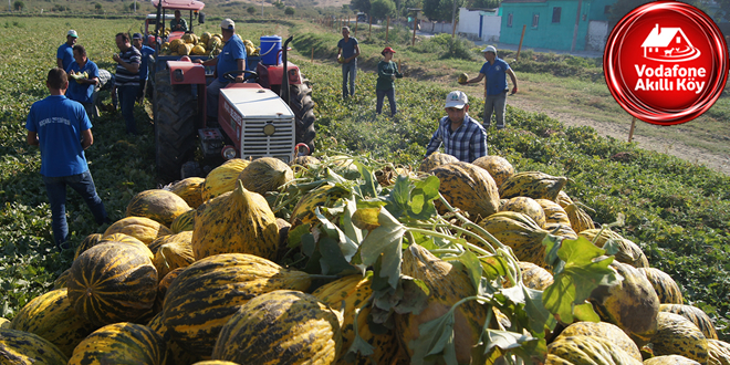 VODAFONE AKILLI KÖY DE İLK HASAT YAPILDI