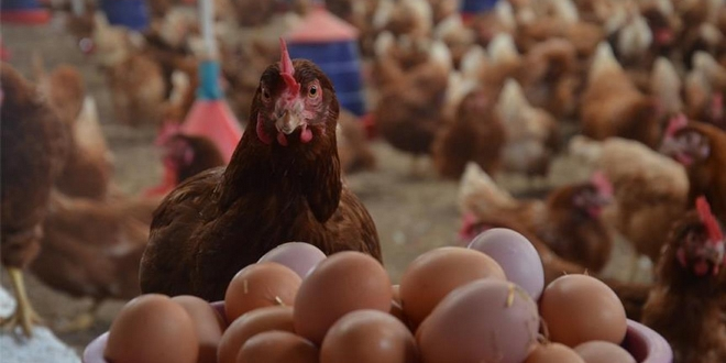 İHRACATTAKİ TIKANMA GİDERİLDİ SEKTÖRÜN YÜZÜ GÜLÜYOR