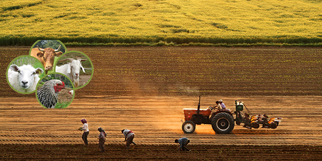 ÇKS BAŞVURUNUZU YAPTINIZ MI