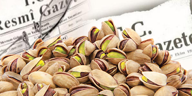 LİSANSLI DEPOLAMAYA İLİŞKİN DÜZENLEME