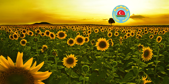 TZOB UN FİYAT TALEBİ KARŞILANDI