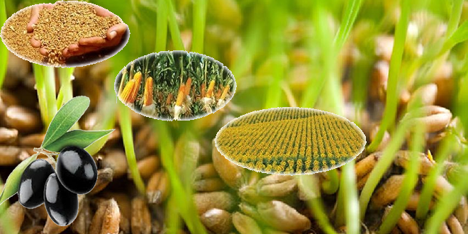 BAŞVURULAR YARIN BAŞLIYOR