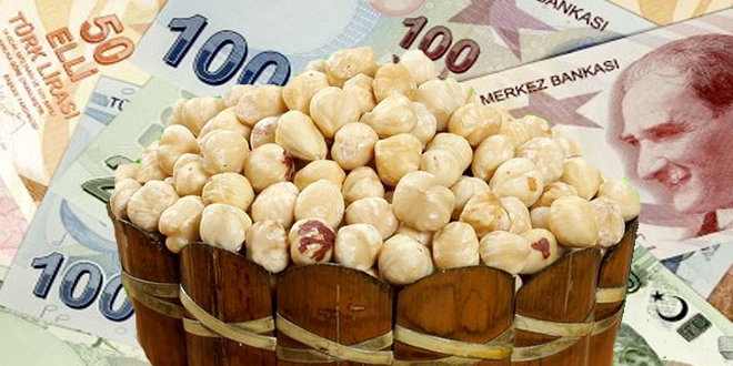 ALAN BAZLI DESTEK ÖDEMELERİ AÇIKLANDI