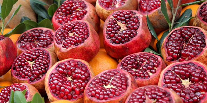 HASADI BAŞLADI KİLOSU 2 2 5 LİRA