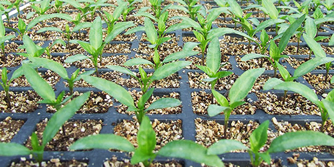 DESTEKLEME BAŞVURULARI BUGÜN SONA ERİYOR