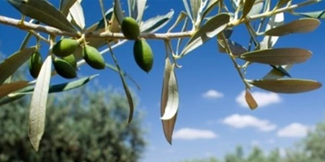 BAŞVURULAR 30 EYLÜLDE SONA ERECEK