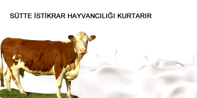 Türk Hayvancılığının Kaderi Sütteki İstikrara Bağlı