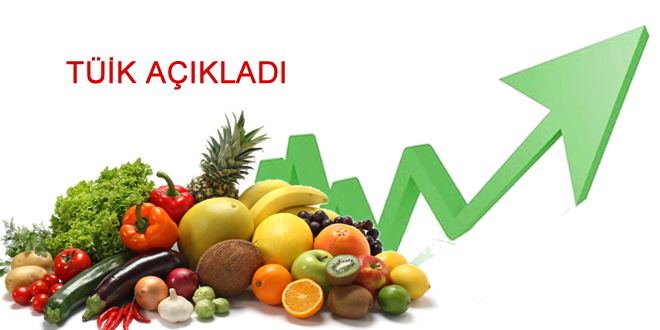 TARIM ÜFE ARALIK TA ARTTI