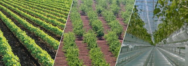 AKILLI TARIM UYGULAMALARINDA SU KULLANIMI