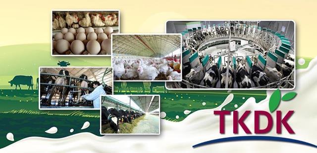 182 PROJEYE 200 MİLYON TL DESTEK