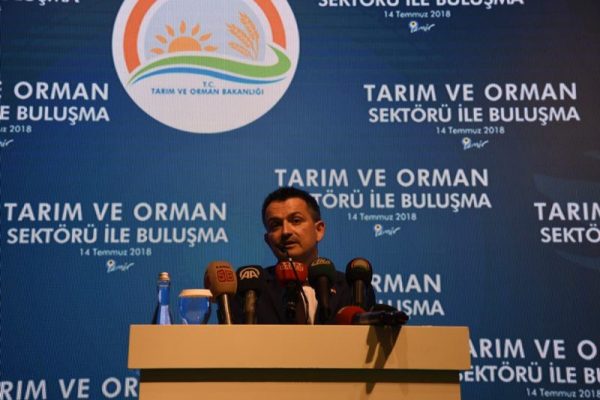 ÇİPURA KÜLTÜRDEN PALAMUT DENİZDEN