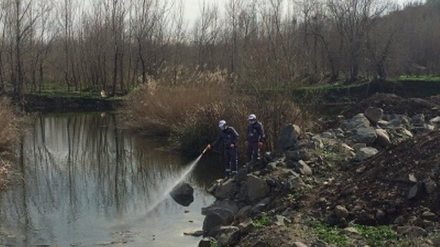 BULAŞICI HASTALIKLARDA HAYVAN FAKTÖRÜ