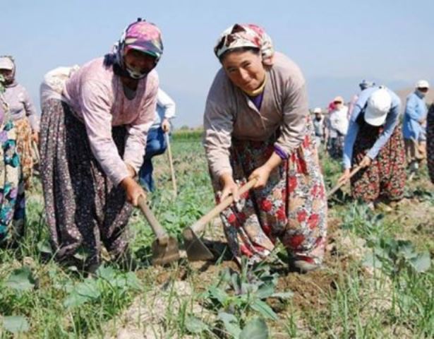 SICAĞA VE GÜNEŞ ÇARPMASINA DİKKAT