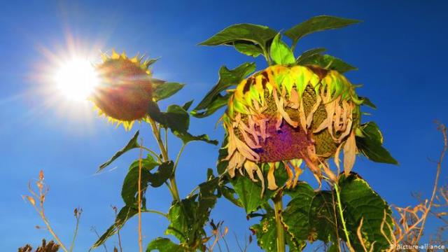 BM Kuraklık ve Çölleşme ye Dikkat Çekti