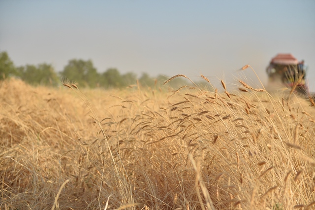 TÜRKİYE DE TARIMI DESTEKLİYORUZ