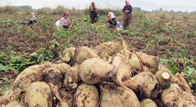 ÜRETİM ARTIYOR İTHALAT AZALIYOR