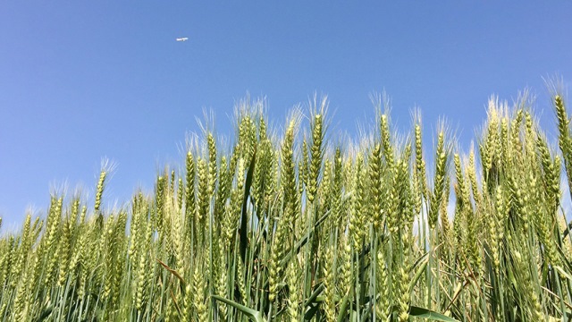 TANER 2021 DE ÇİFTÇİ İLE BULUŞACAK