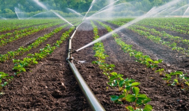 HEDEF 31 MİLYON TON