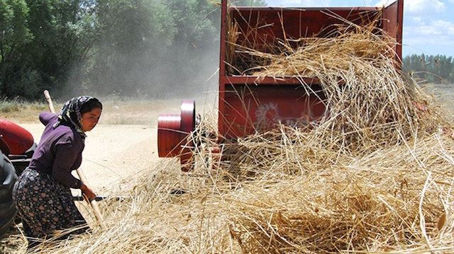 tarım enflasyonunda artış