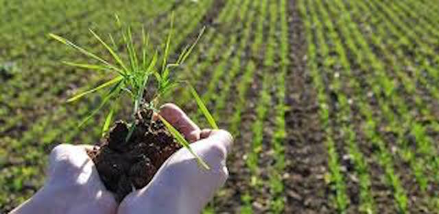 TARIMDA 2023 HEDEFLERİ