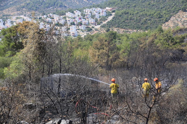 Yanan Orman Alanları İmara Açılmayacak