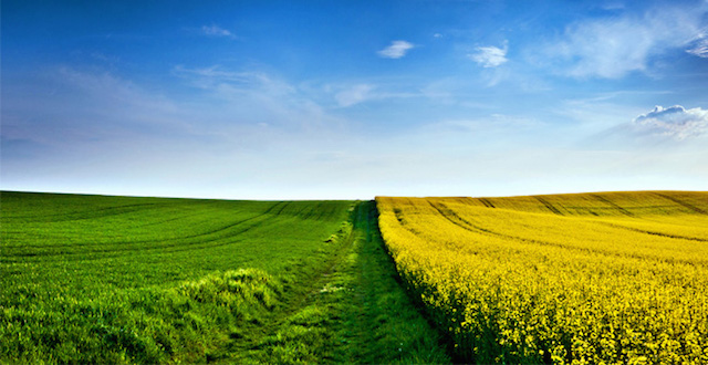 Tarıma yatırıma yeni destek