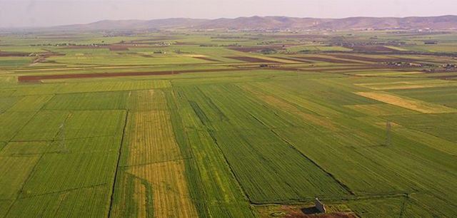 200 MİLYON M2 ARAZİDE ÜRETİM FIRSATI