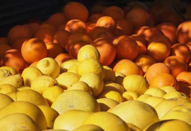 MEYVE HASTALIKLARI VE MÜCADELESİ