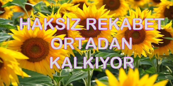 haksız rekabet ortadan kalkıyor