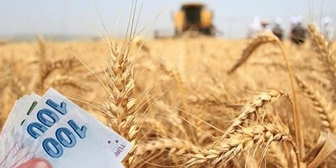 DESTEK ÖDEMELERİ BUGÜN BAŞLIYOR