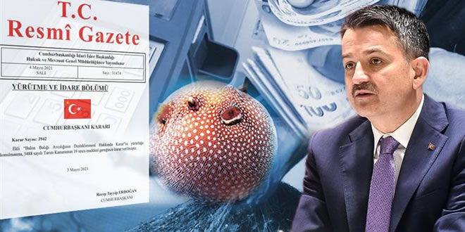 DESTEKLEME ÖDEMESİ ŞARTLARI RESMİ GAZETEDE YAYIMLANDI