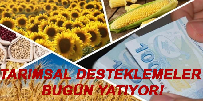 https www tarim com tr TARIMSAL DESTEKLER YATIRILIYOR 43432h