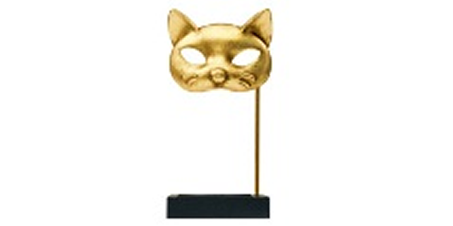 Mediacat Felis Ödülleri 2013 Yılın En iyi Medya Kullanımı Ödülü