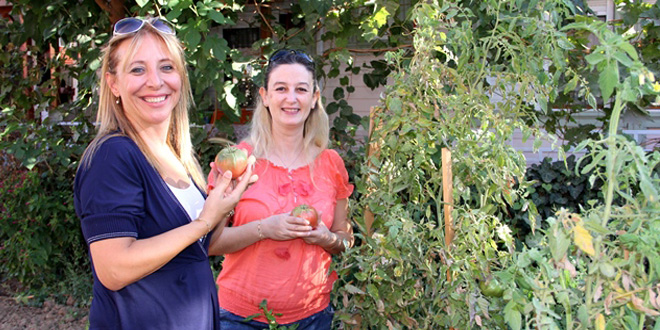 Çanakkale Toprakları Organik Tarım İçin Çok Uygun