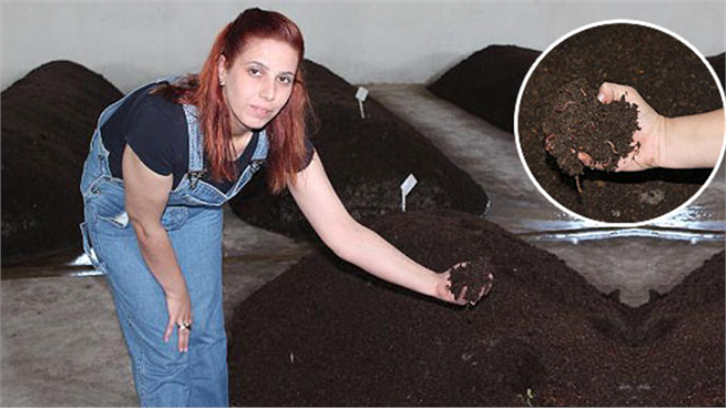 KOSGEB li Kadın Girişimcinin Solucan İşçileri