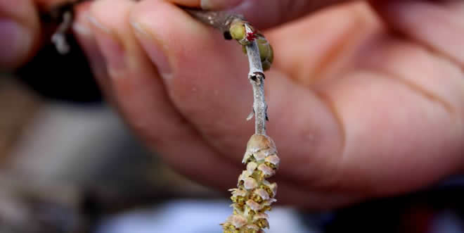 Üreticilere Ürün Bazlı Destekleme Verilmelidir