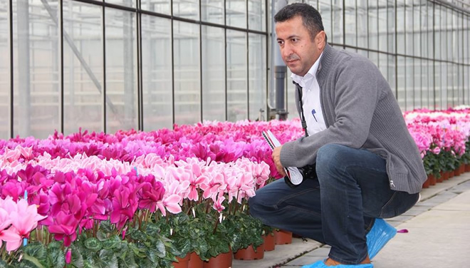 Süs Bitkileri Sektörü Gelişiyor