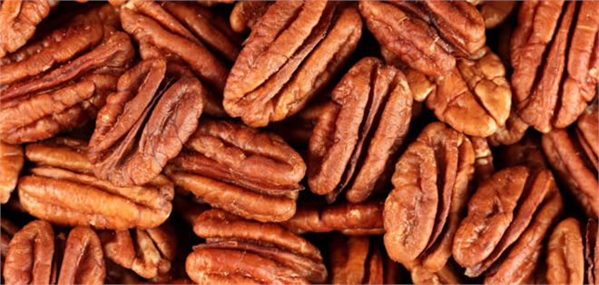 Tropik Meyve Üretiminin Türkiye deki Adresi