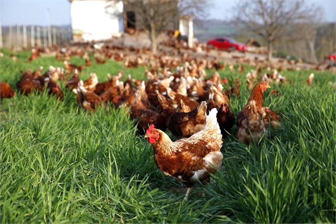 Yeni Fikirlere Ne Derece Açığız İşte En Güzel Örneklerden Birtanesi