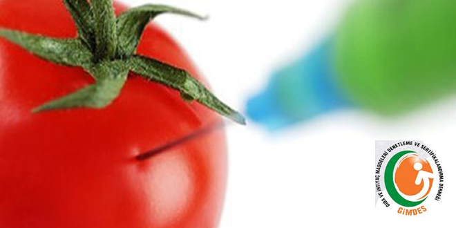 GİMDES GDO Hakkında Ne Diyor