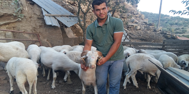 Köyüne Hayvanlarına Geri Dönen Akıllı Çiftçi Musa Akıllı